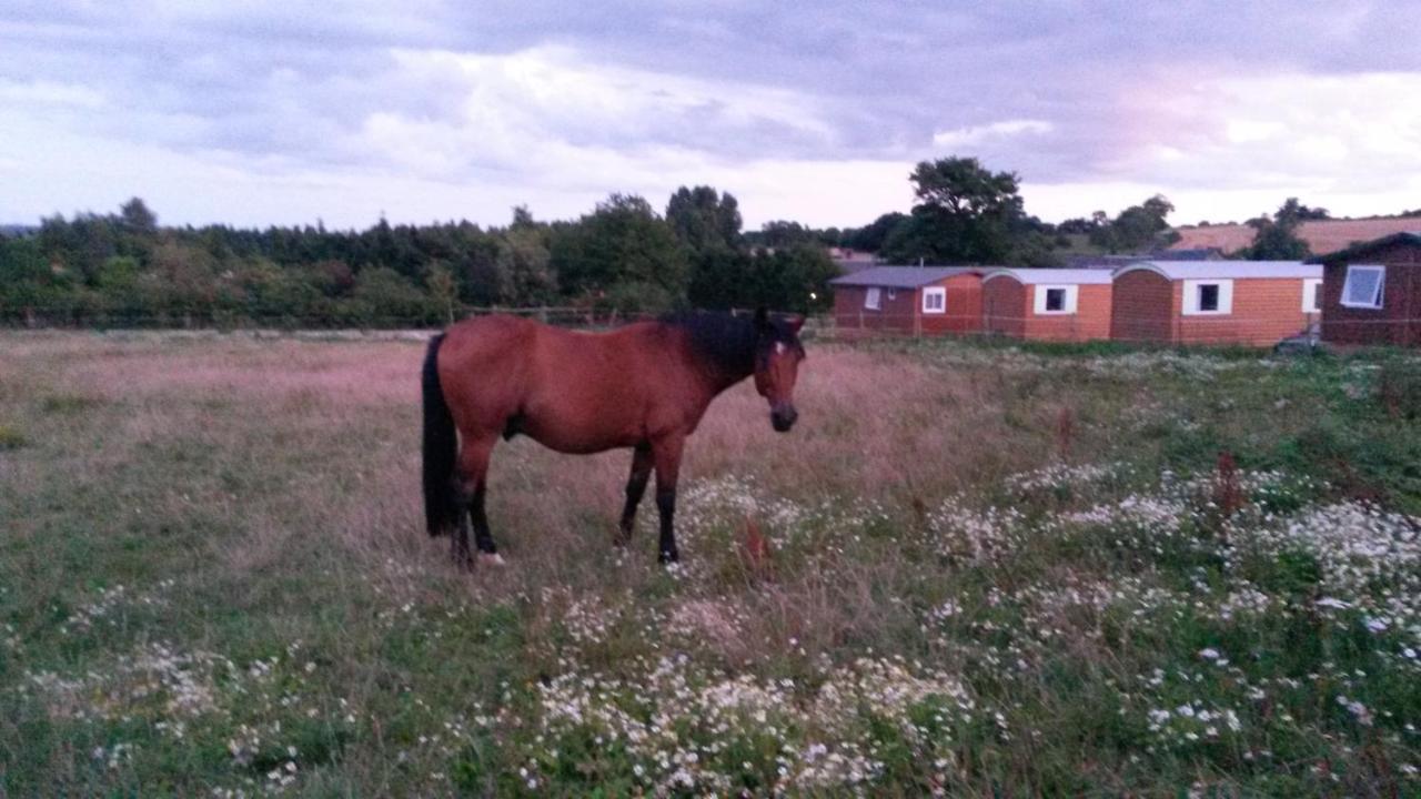 Pensjonat La Ferme Des Epis Ouffieres Zewnętrze zdjęcie