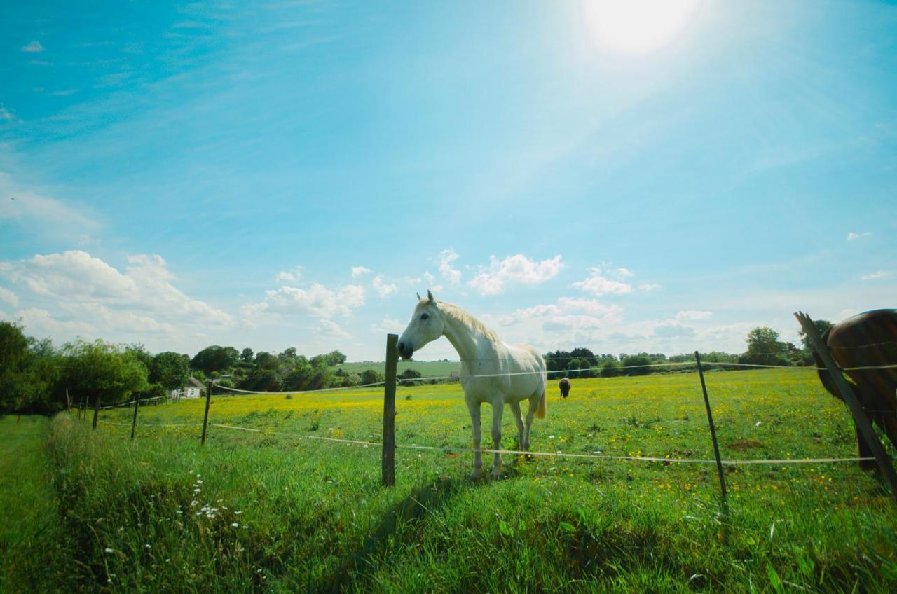 Pensjonat La Ferme Des Epis Ouffieres Zewnętrze zdjęcie